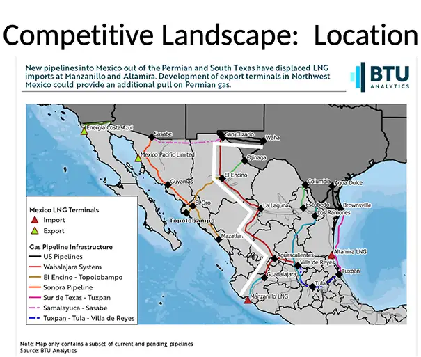 Competitive Landscape